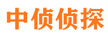 西丰侦探公司